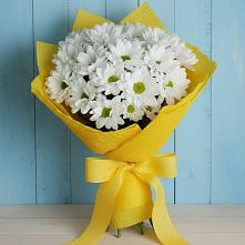 Букет цветов из:  Хризантемы в Кировский Курской области