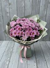 Букет цветов из:  Хризантемы в Кировский Курской области