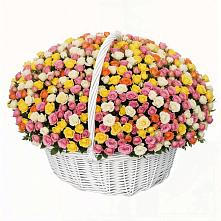 Премиум букет из: Розы в Кировский Курской области