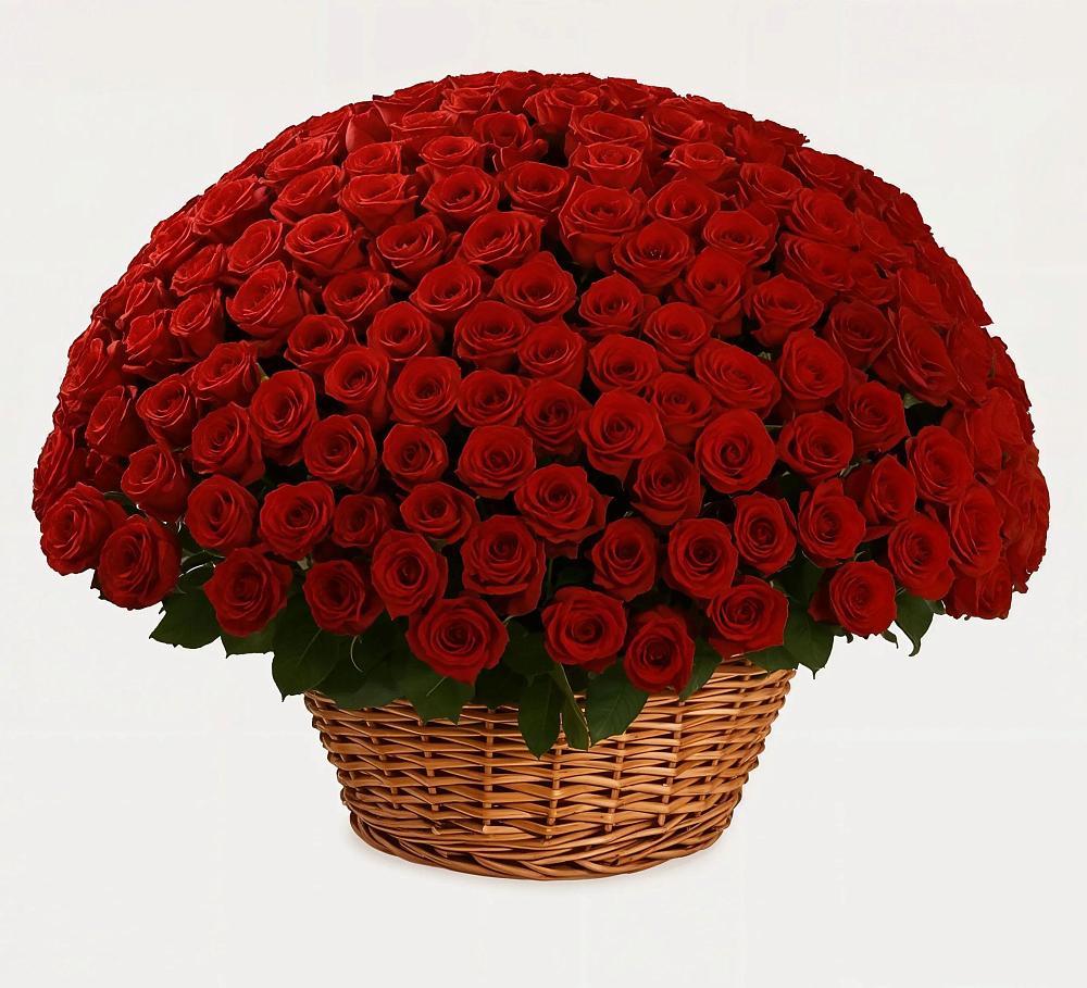 Премиум букет из: Розы в Кировский Курской области