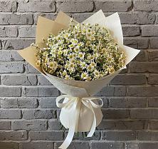 Букет цветов из:  Ромашки #REPLACE_PRED# Кировский Курской области