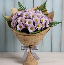 Букет цветов из:  Хризантемы в Кировский Курской области