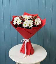 Букет цветов из:  Хризантемы в Кировский Курской области