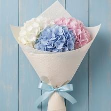 Букет цветов из:  Гортензия в Кировский Курской области
