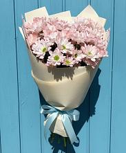 Букет цветов из:  Хризантемы в Кировский Курской области