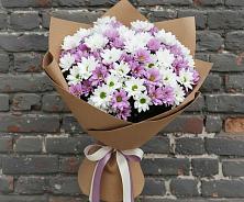 Букет цветов из:  Хризантемы в Кировский Курской области