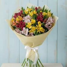 Букет цветов из:  Альстромерии в Кировский Курской области