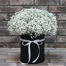 Цветочная композиция из Гипсофила в шляпной коробке в Кировский Курской области