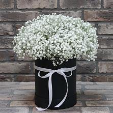 Цветочная композиция из Гипсофила в шляпной коробке в Кировский Курской области