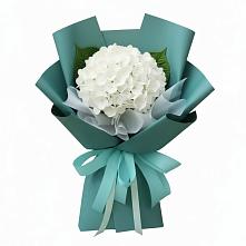 Букет цветов из:  Гортензия в Кировский Курской области